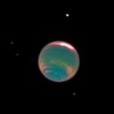 strawberrydoctor avatar