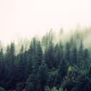 strawberryfeelings avatar