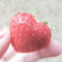 strawberrygirlishere avatar