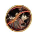 strawberryglrl avatar