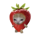 strawberrykaeya0 avatar