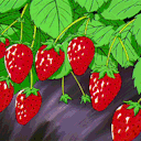 strawberrylabs avatar