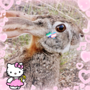 strawberrylemonadehare avatar