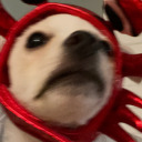 strawberrymilk avatar