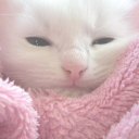 strawberrymilk-and-things avatar