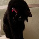 strawberrynargles avatar