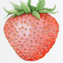 strawberrynot avatar