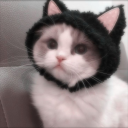 strawberrypetals avatar