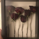 strawberrypuddingg avatar