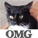 strawberryroandragon avatar