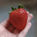 strawberrysaucereblogs avatar