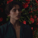 strawberryscult avatar