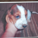 strawberryshapedstars avatar