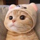 strawberryxbaby avatar