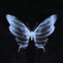 strawberyymilkshake avatar