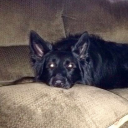 strawburrym1lk avatar