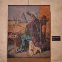 stray-daydreams avatar