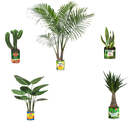 stray-objects-blog avatar