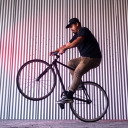 straycat-strutting avatar