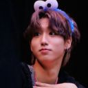 strayed-queen-cordis avatar