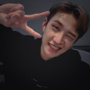 strayfoxxchan avatar