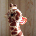 straygiraffe avatar