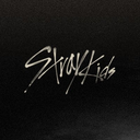 straykidstranslations avatar