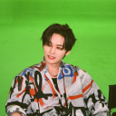 straystaysworld avatar