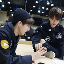 straysunshinesnet avatar