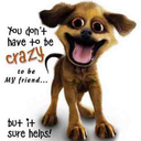 stream2stream avatar