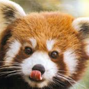 streamm-redpanda avatar