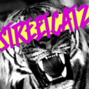 streetcatz-blog avatar