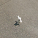 streetworldview avatar