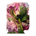 strengthandinnerpeace avatar