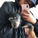 strengthheartsoul avatar