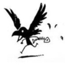 stressed-crow avatar