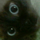 stressed-full-time avatar