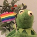 stressed-gay-raccoon avatar