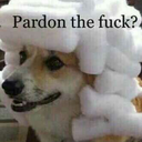 stressed-milkshake avatar