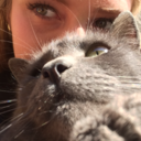 stresseddepressedandalltherest avatar