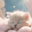 stressedkitten avatar