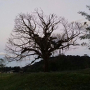 stressedoutbutokay avatar