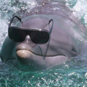 stressedoutx3 avatar