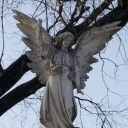 stressfulcelestial avatar