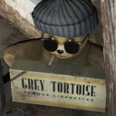 stressiatella avatar