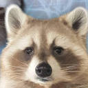 stressingplant avatar