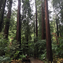 stretch-out-my-life avatar