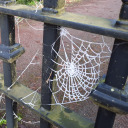 stretchoutfics avatar