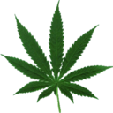 strictly-marijuana-blog avatar