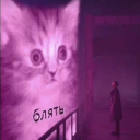 stringitrusiki avatar